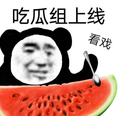 吃瓜卖被子,一网打尽夏日生活必备