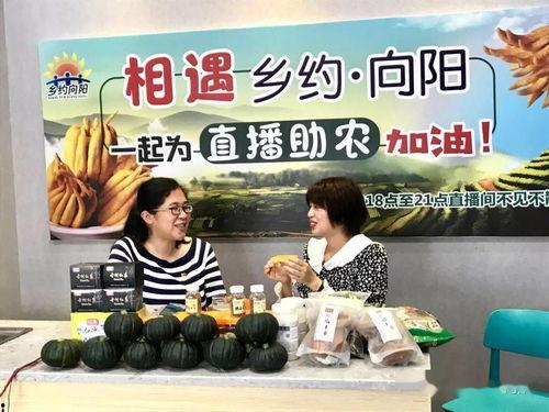向阳吃瓜,瓜田里的欢乐时光