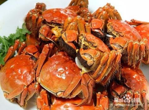 吃小狗瓜螃蟹,探寻美食与宠物的和谐共融