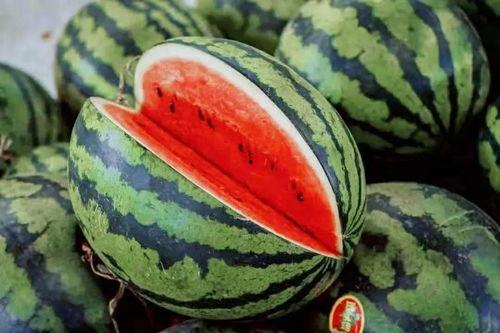 吃瓜视频最近的瓜,娱乐圈风云再起，明星隐私大揭秘！