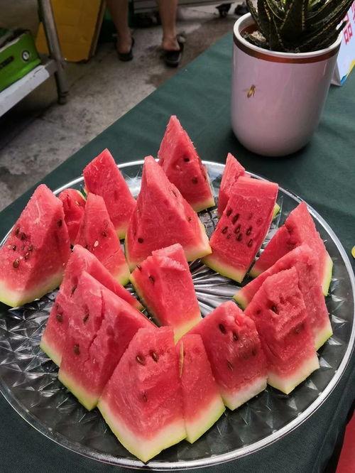 吃瓜比赛后续,选手们再掀观战热潮