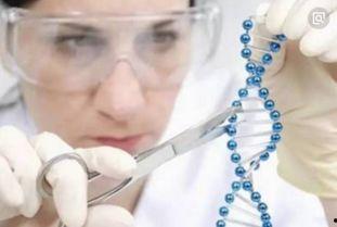 31个dna事件吃瓜,揭秘基因密码背后的神秘世界