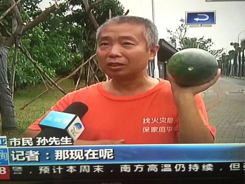 醴陵吃瓜群众事件,网络舆论的风暴与反思