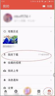 瓜园里吃西瓜视频下载,西瓜视频下载，尽享夏日清凉