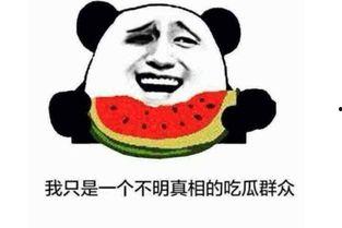 吃瓜看客看你吃瓜什么意思,吃瓜看客视角下的瓜田盛宴