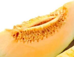 蜜瓜怎么吃不苦,轻松享受甜蜜滋味