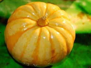 于瓜怎吃,探索于瓜的多样食用方法