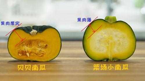 吃瓜色轻,揭秘娱乐圈轻松一“瓜”的幕后故事