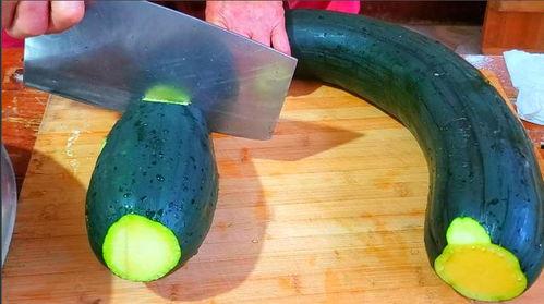 吃 瓜 留 子,吃瓜留子的智慧人生