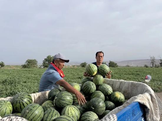 国瑞园吃瓜,揭秘社区里的夏日狂欢