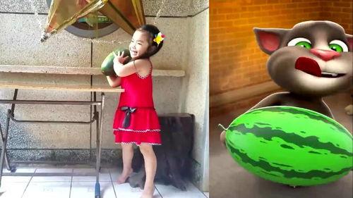 汤姆猫吃瓜事件,网络狂欢背后的真相与反思