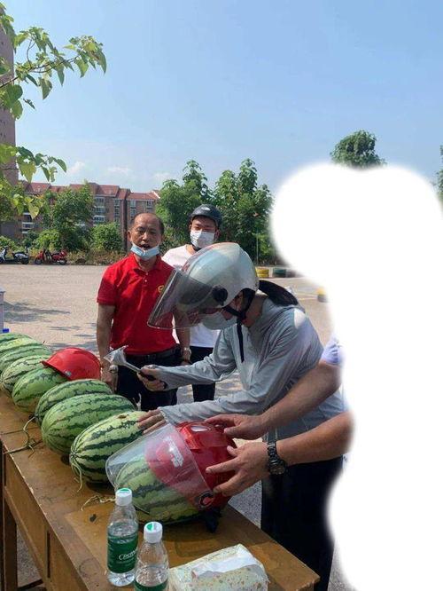 奉节吃瓜事件视频最新,一场网络狂欢背后的真相与反思