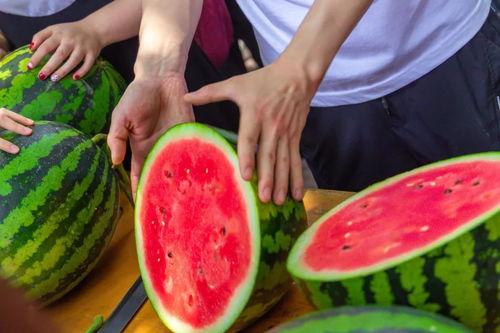 昆明经管学院吃瓜,吃瓜群众揭秘校园美食风云