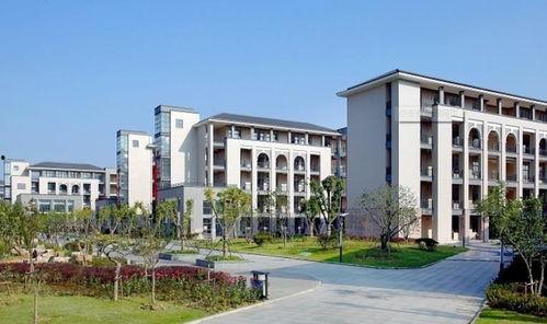 职教园吃瓜,揭秘校园里的那些事儿