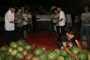 女子景区吃瓜,文明旅游与公共秩序的思考